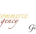 Ecommerce Agency
